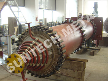 中国 304L および炭素鋼の覆われた拭かれた薄膜の蒸化器 サプライヤー